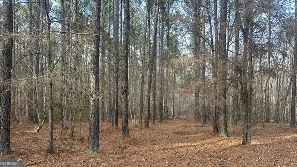 $260,000 | 2 Country Club Road, Unit LOT 2, Sylvania, GA 30467