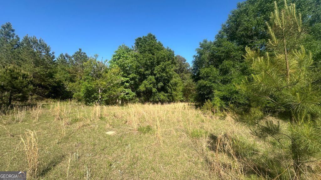 2 Country Club Road, Unit LOT 2 Sylvania, GA 30467 - Photo 16 of 31