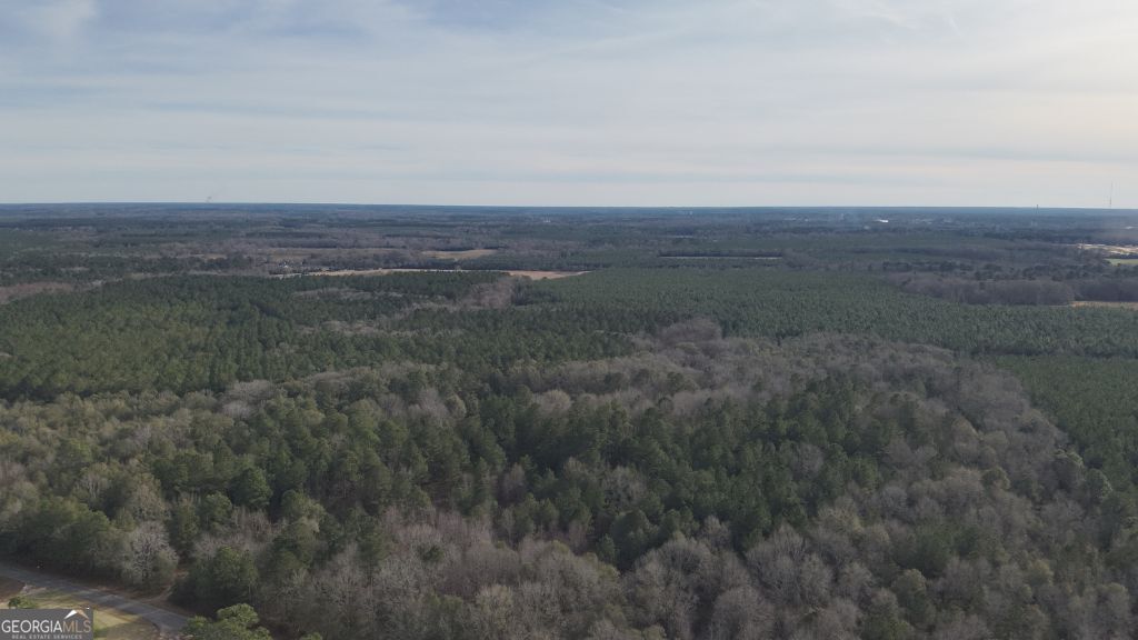 2 Country Club Road, Unit LOT 2 Sylvania, GA 30467 - Photo 2 of 31