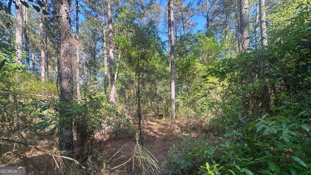 2 Country Club Road, Unit LOT 2 Sylvania, GA 30467 - Photo 21 of 31