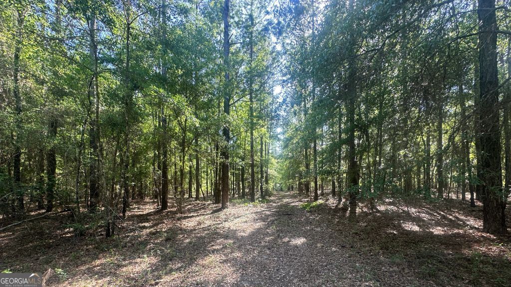 2 Country Club Road, Unit LOT 2 Sylvania, GA 30467 - Photo 22 of 31