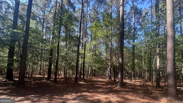 $260,000 | 2 Country Club Road, Unit LOT 2, Sylvania, GA 30467