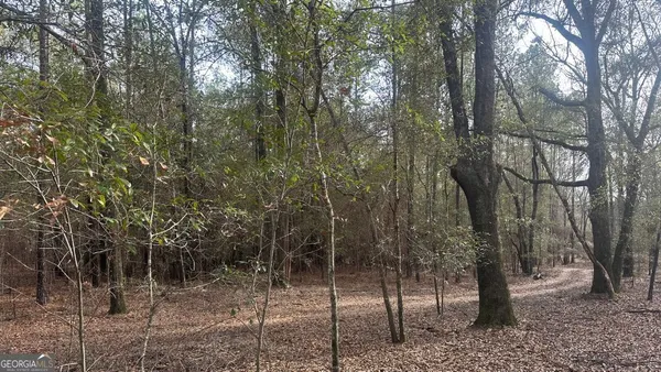 $260,000 | 2 Country Club Road, Unit LOT 2, Sylvania, GA 30467