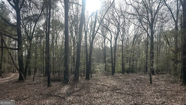 $260,000 | 2 Country Club Road, Unit LOT 2, Sylvania, GA 30467