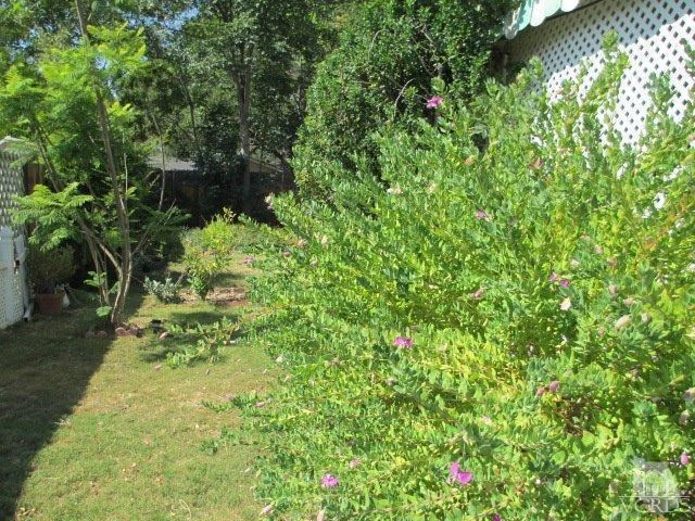 1225-5 South Rice Road, Unit 5 Ojai, CA 93023 - Photo 4 of 41 a view of a garden