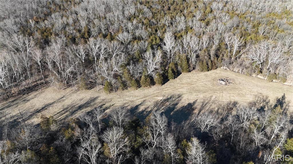 3 Lot Hematite Farms Road Festus, MO 63028 - Photo 3 of 4