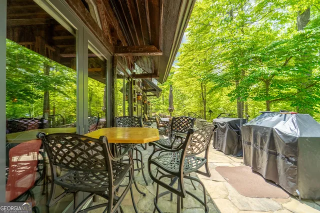 $10,000,000 | 1 Burton Island, Tiger, GA 30576