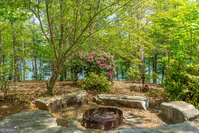 $10,000,000 | 1 Burton Island, Tiger, GA 30576