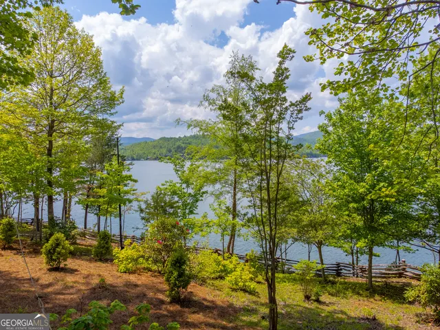 $10,000,000 | 1 Burton Island, Tiger, GA 30576