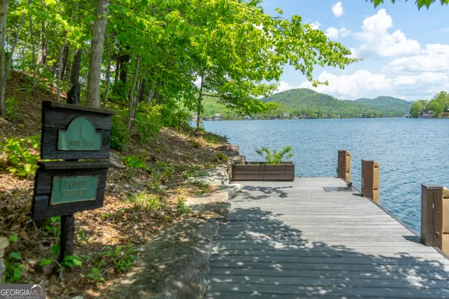 $10,000,000 | 1 Burton Island, Tiger, GA 30576