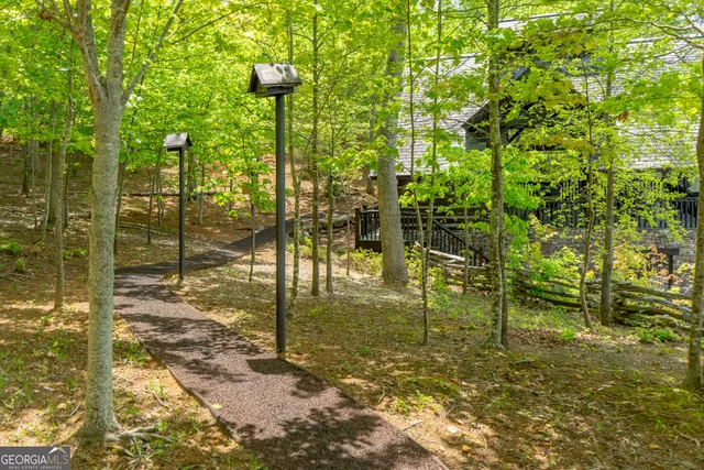 $10,000,000 | 1 Burton Island, Tiger, GA 30576