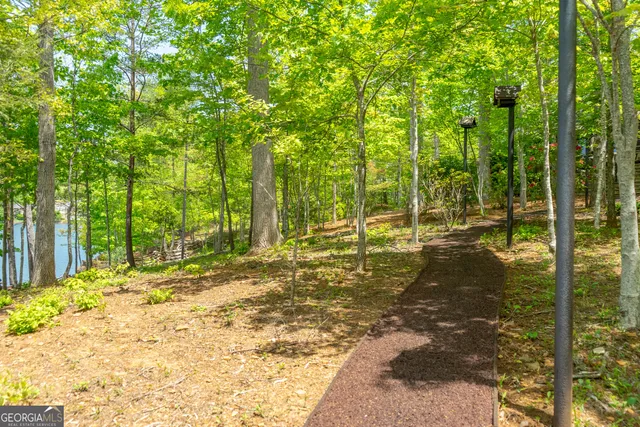 $10,000,000 | 1 Burton Island, Tiger, GA 30576