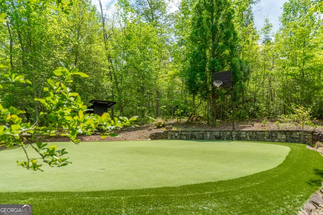 $10,000,000 | 1 Burton Island, Tiger, GA 30576