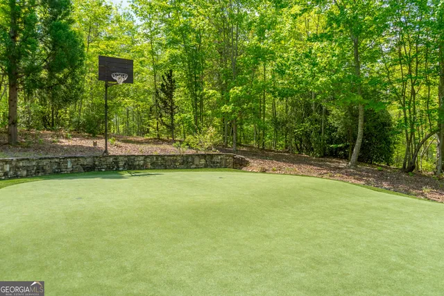 $10,000,000 | 1 Burton Island, Tiger, GA 30576