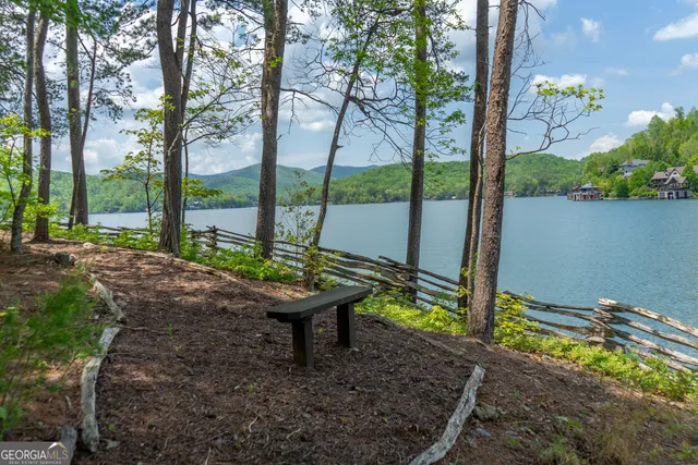 $10,000,000 | 1 Burton Island, Tiger, GA 30576