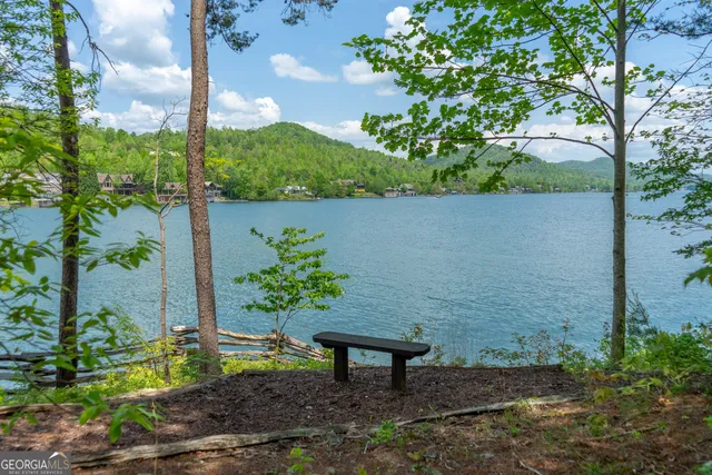 $10,000,000 | 1 Burton Island, Tiger, GA 30576