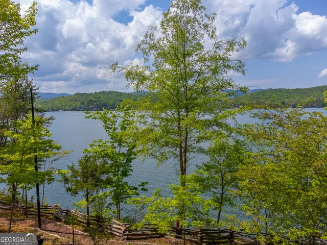 $10,000,000 | 1 Burton Island, Tiger, GA 30576