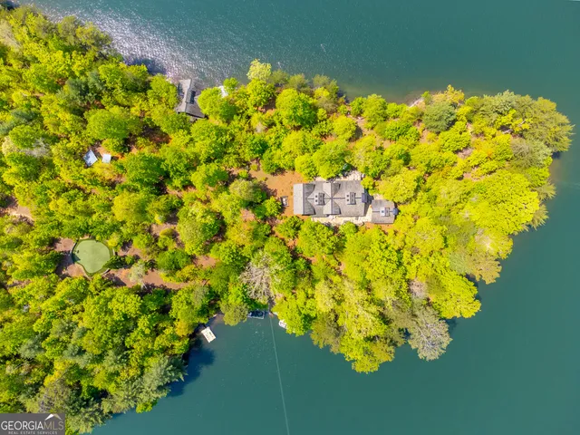 $10,000,000 | 1 Burton Island, Tiger, GA 30576