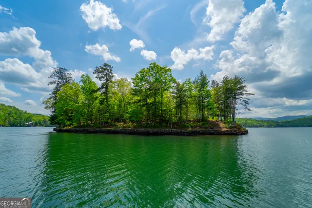 $10,000,000 | 1 Burton Island, Tiger, GA 30576