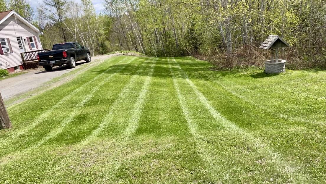 508 Walker Road Hodgdon, ME 04730 - Photo 4 of 26 Front yard