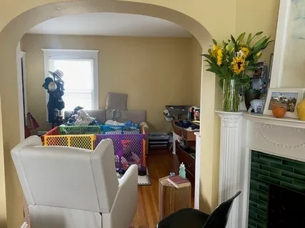 a living room with furniture a fireplace and a potted plant