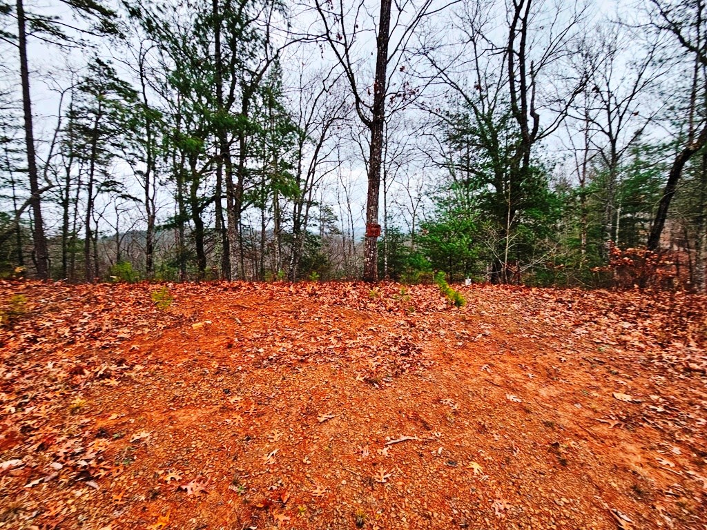 Lot 48 Wayah Ridge Murphy, NC 28906 - Photo 13 of 20 Gallery Image 13