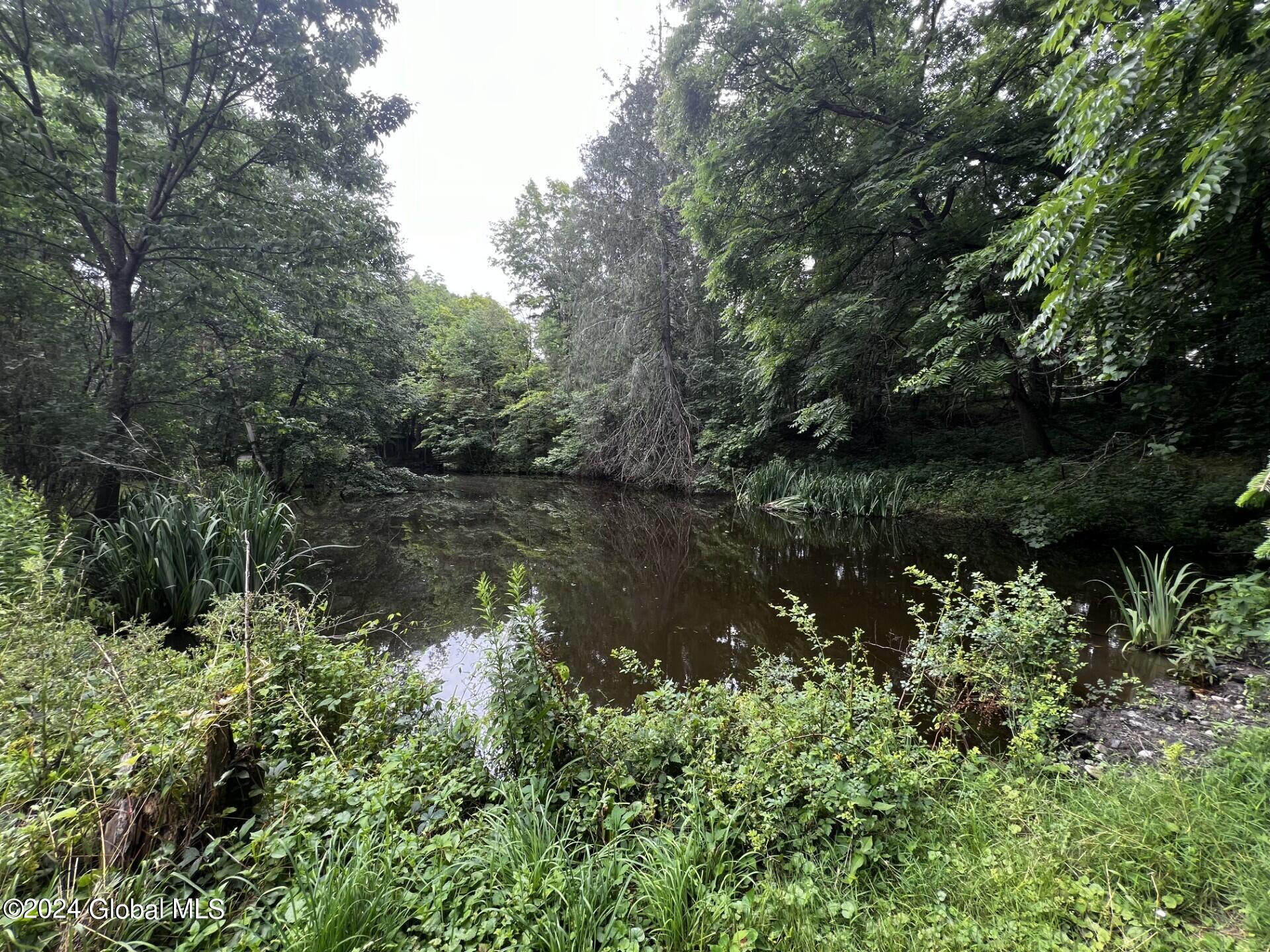 15 Pattison Road West Sand Lake, NY 12196 - Photo 26 of 38 thumbnail_IMG_8282