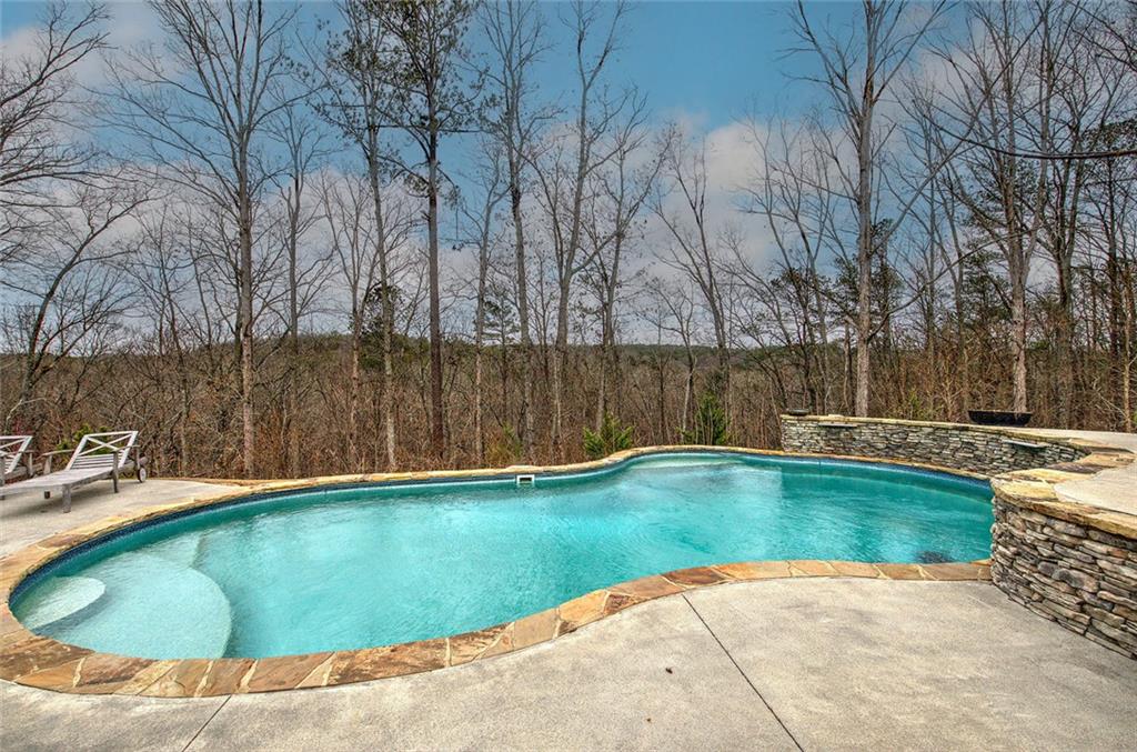 18 Weather View Trail Cartersville, GA 30121 - Photo 61 of 78