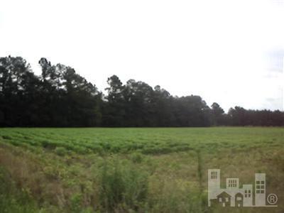 2 Bee Tree Road Chadbourn, NC 28431 - Photo 1 of 6 Primary Photo