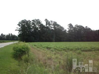 2 Bee Tree Road Chadbourn, NC 28431 - Photo 2 of 6 Additional Photo