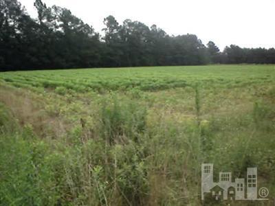 2 Bee Tree Road Chadbourn, NC 28431 - Photo 3 of 6 Additional Photo