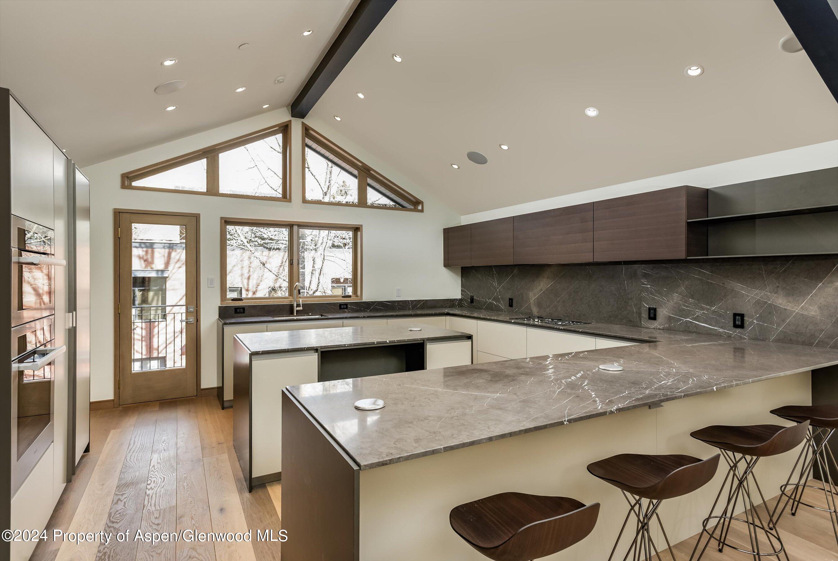 200 East Durant Avenue Aspen, CO 81611 - Photo 5 of 28 14-200eDurant_HiRes014