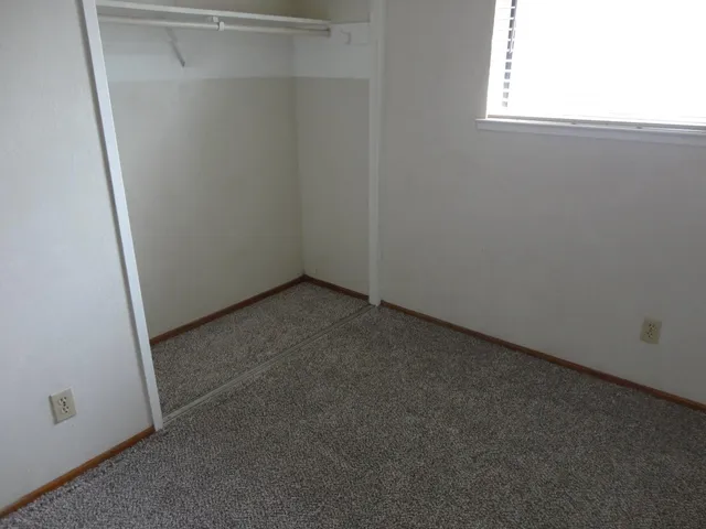 a view of a garden with plants