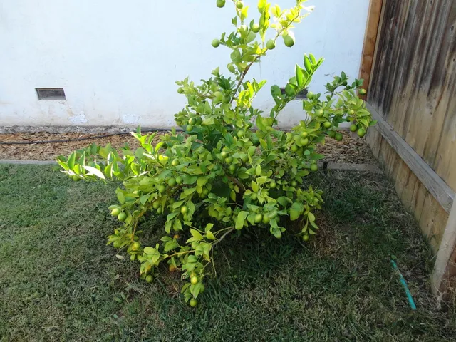 $520,000 | 8401 Grinnell Way, Sacramento, CA 95826