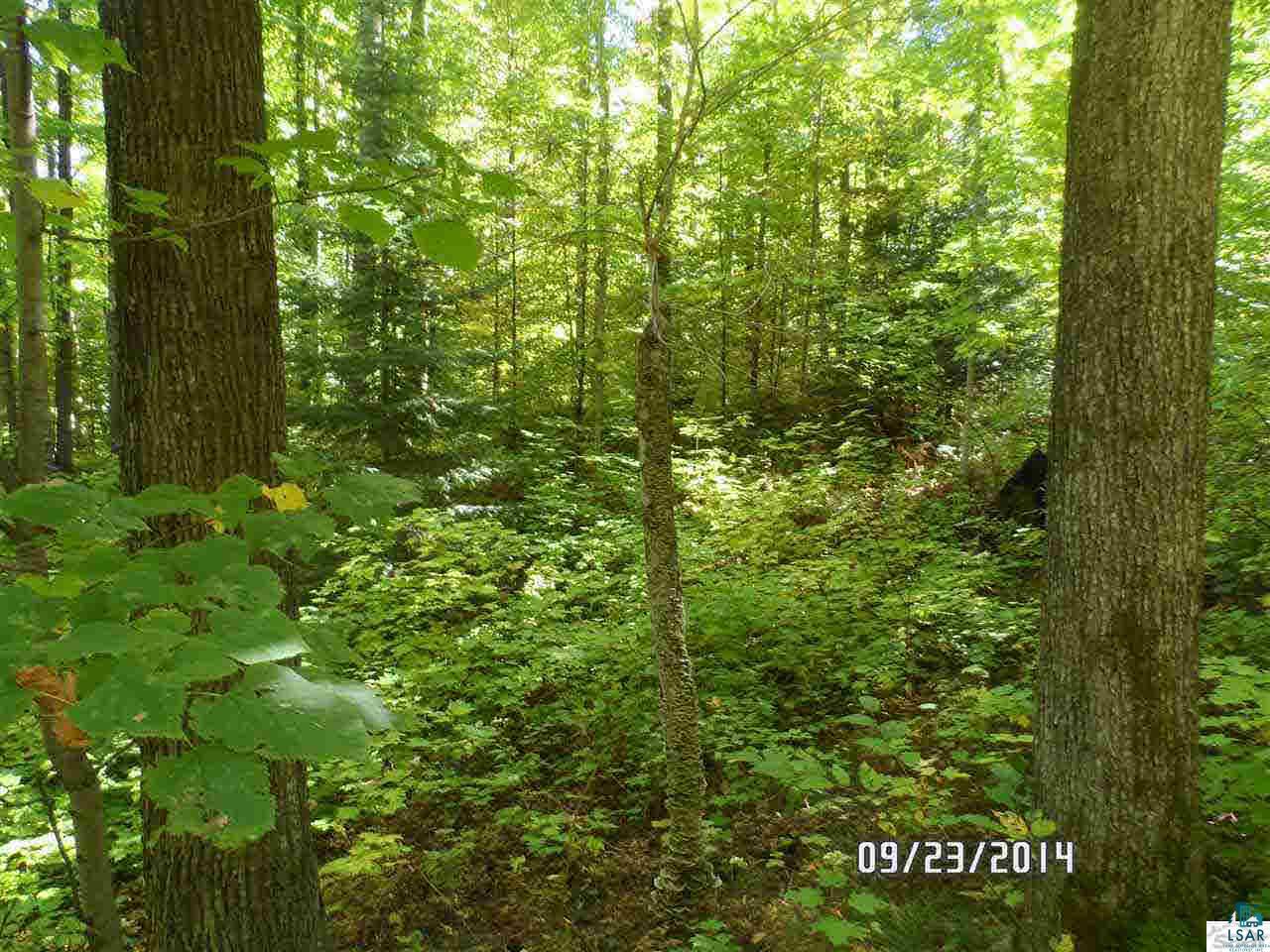 2 Southeast Old Grade Road Mason, WI 54856 - Photo 1 of 16