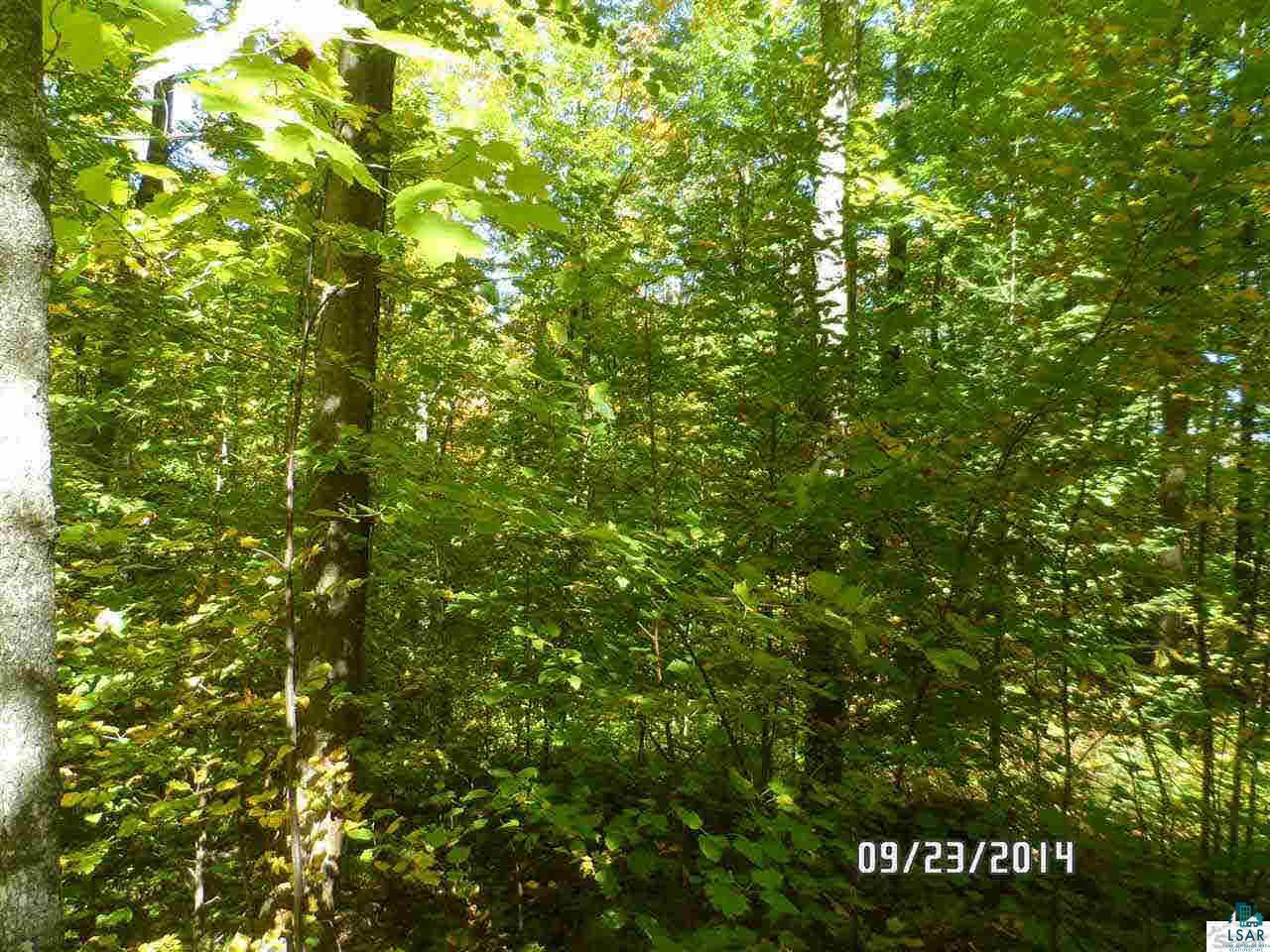 2 Southeast Old Grade Road Mason, WI 54856 - Photo 15 of 16