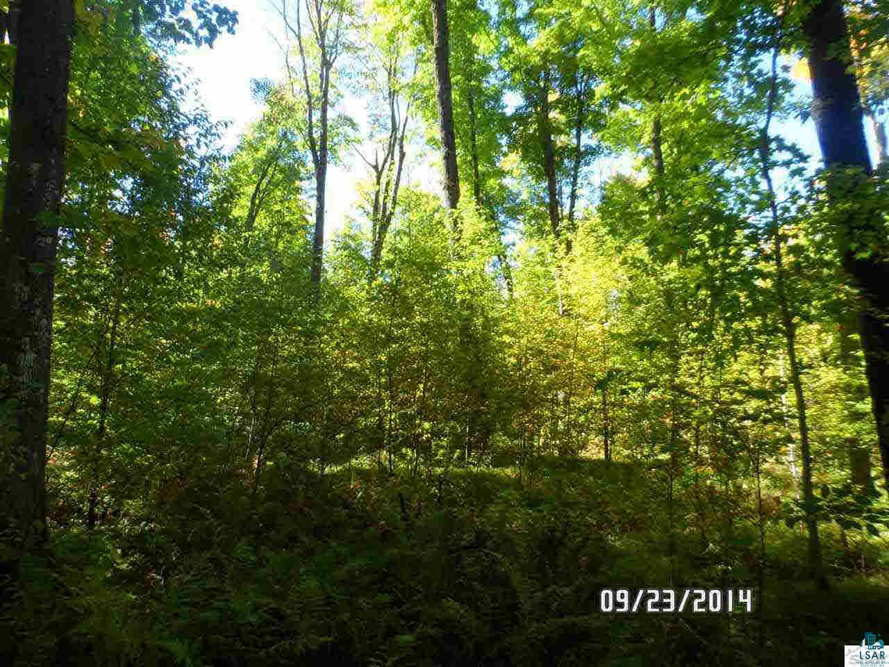 2 Southeast Old Grade Road Mason, WI 54856 - Photo 4 of 16