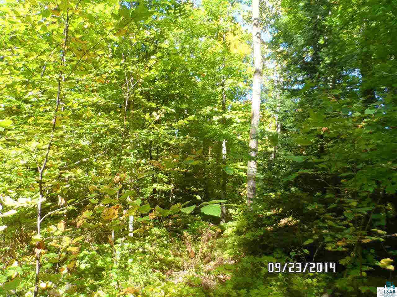 2 Southeast Old Grade Road Mason, WI 54856 - Photo 5 of 16