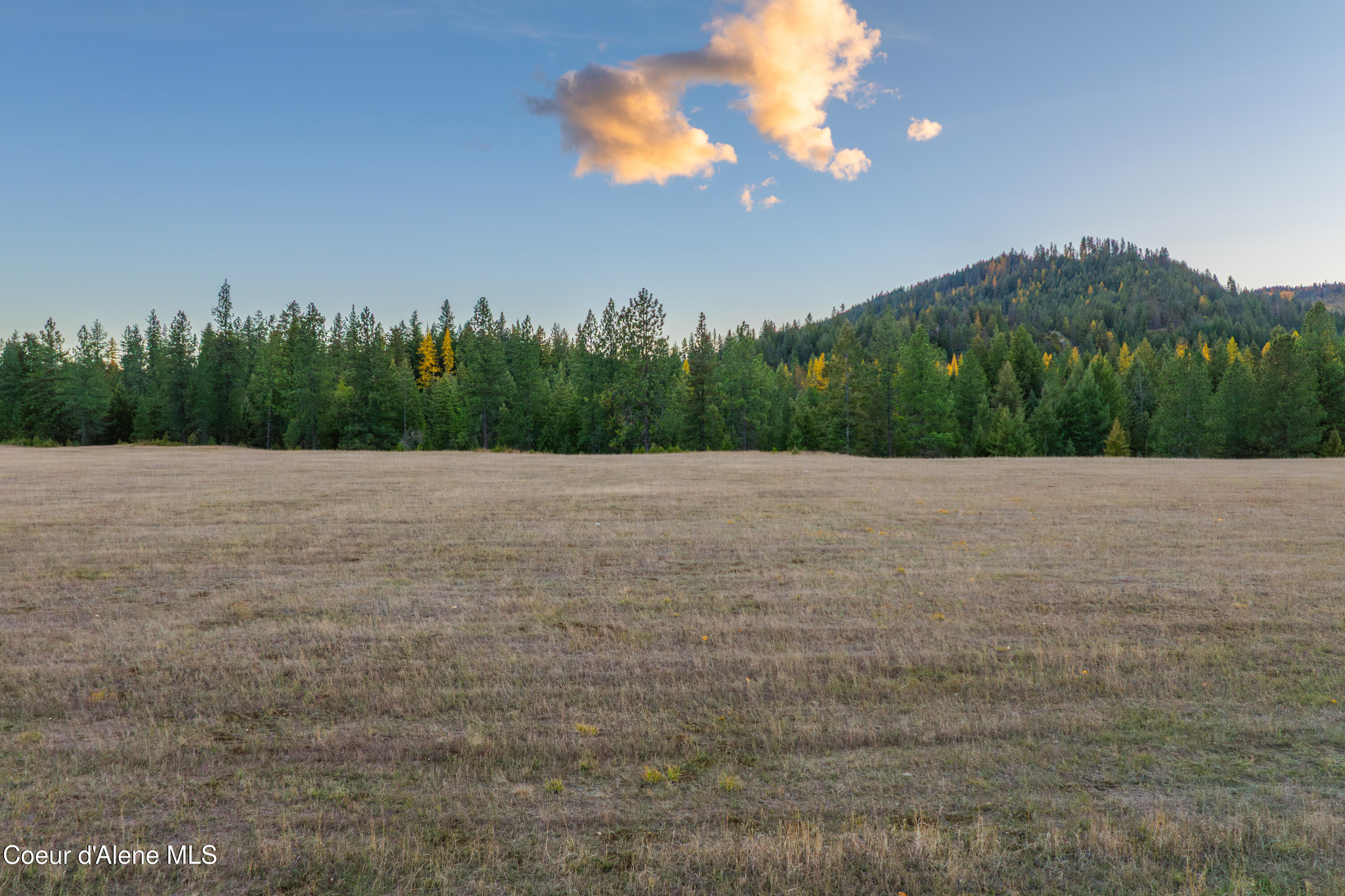 8 Fortune Way Priest River, ID 83856 - Photo 5 of 14 Lot 8 Dufort Ridge-4