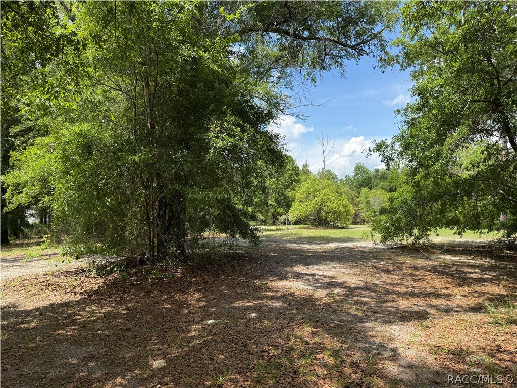 20275 33rd Road Wellborn, FL 32094 - Photo 1 of 57