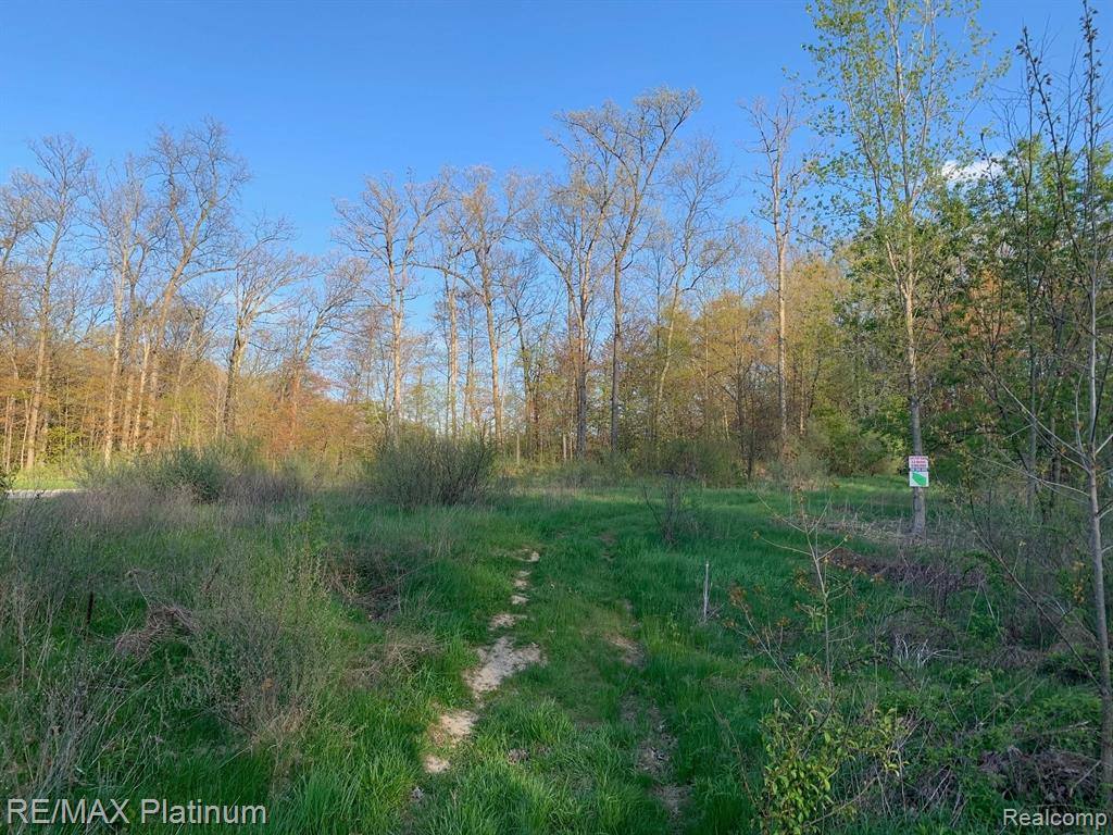 Tbd Tbd Toby Brighton, MI 48114 - Photo 2 of 6