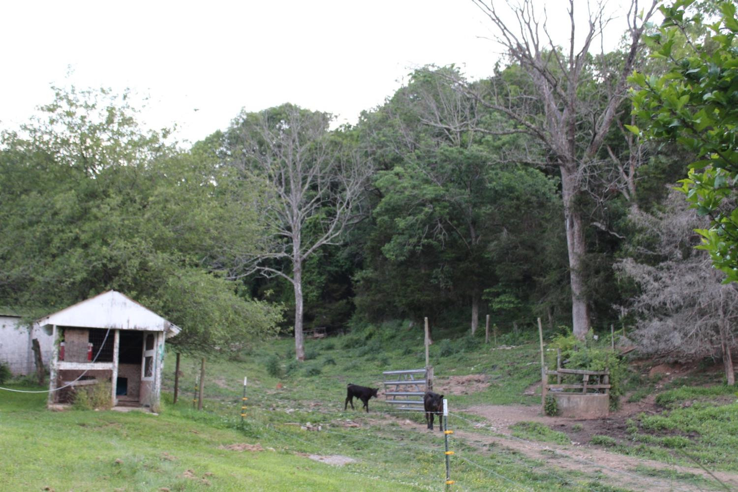 2042 Low Gap Road Mount Vernon, KY 40456 - Photo 23 of 45 Photo 23