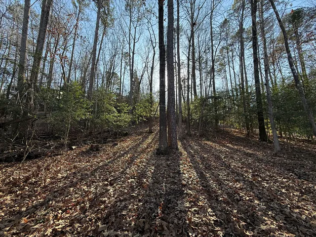 $200,000 | 133 Sweet Gum Drive, Westminster, SC 29693