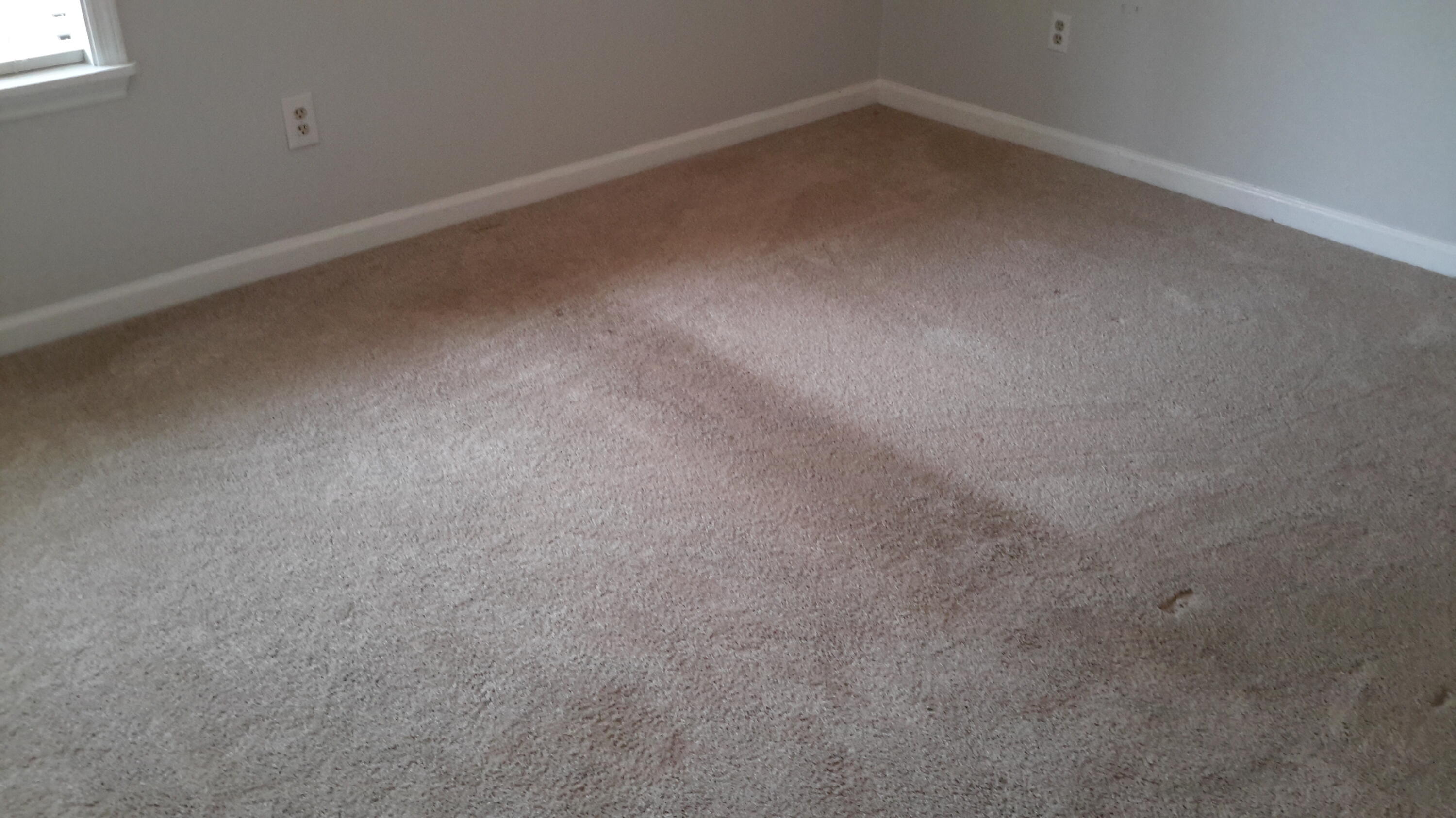 45 Maplecrest Drive Charleston, SC 29412 - Photo 22 of 25 20220318_150316