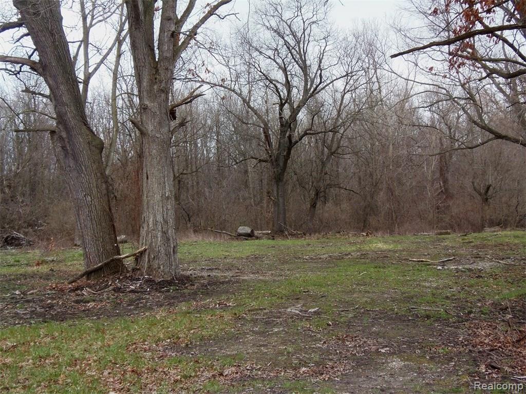 41005 Judd Road Belleville, MI 48111 - Photo 12 of 18