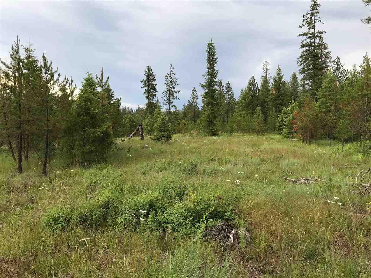 Nka West Jump Off Road Valley, WA 99181 - Photo 1 of 4