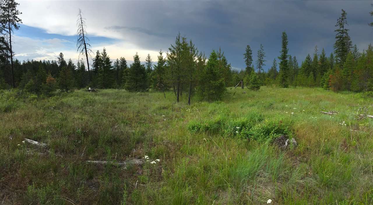 Nka West Jump Off Road Valley, WA 99181 - Photo 2 of 4