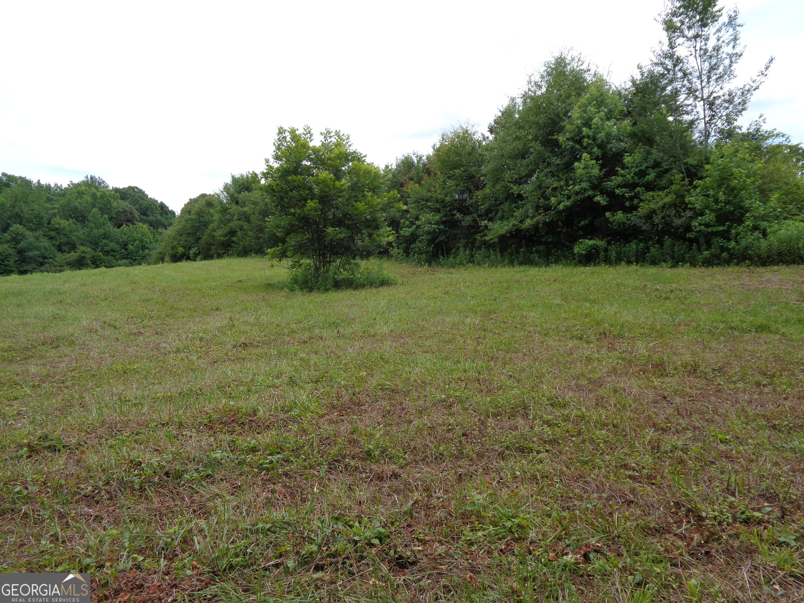 2411 Kesler Road Carnesville, GA 30521 - Photo 58 of 61 a view of outdoor space and yard
