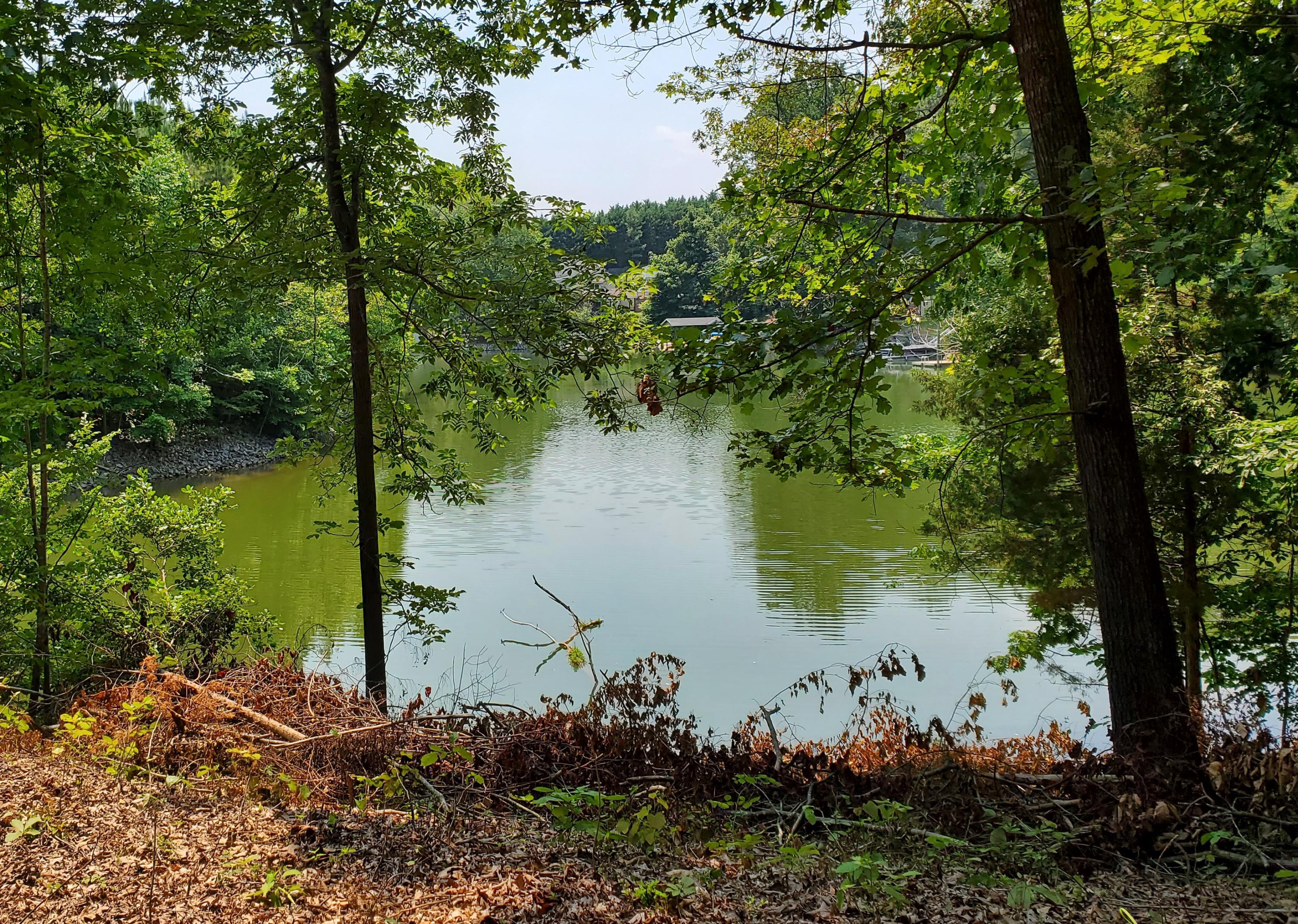 Lot 13 Moneta Road Moneta, VA 24121 - Photo 2 of 4 lake