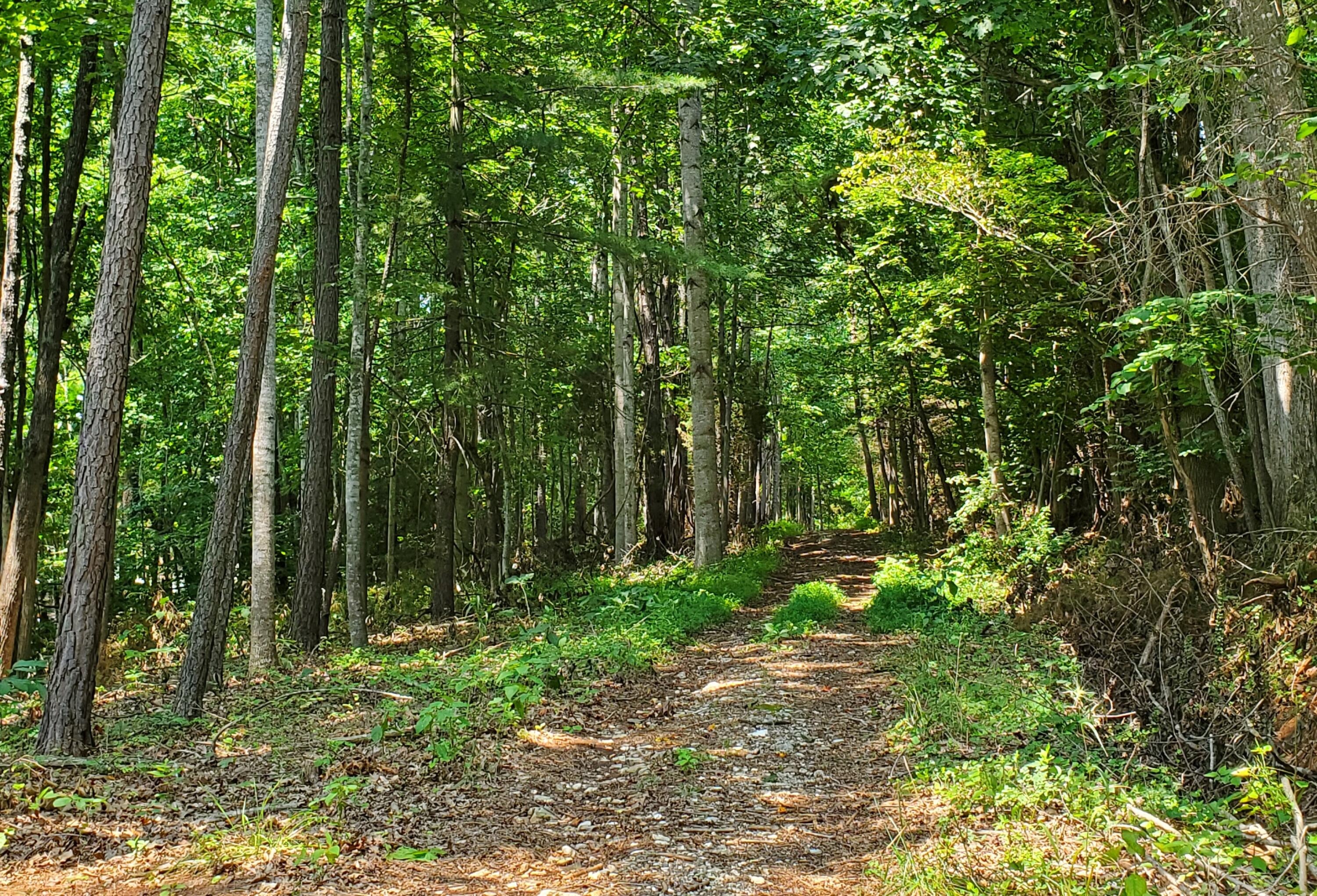 Lot 13 Moneta Road Moneta, VA 24121 - Photo 3 of 4 Road